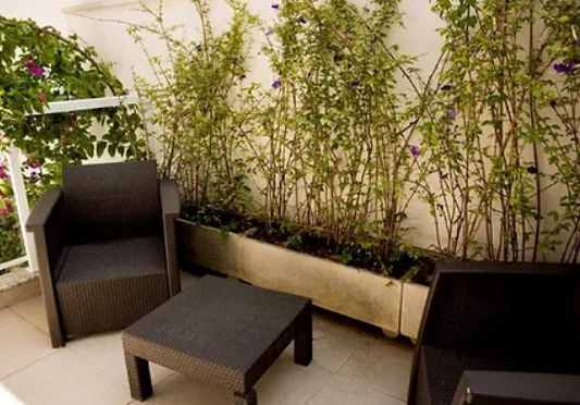 Design sem nome - 2022-02-22T031045.241